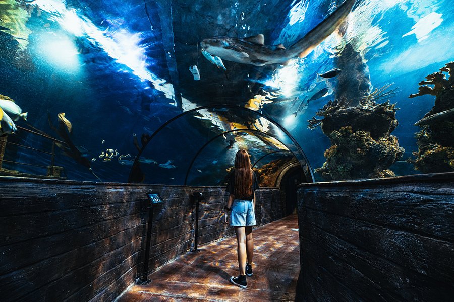 Malta National Aquarium image