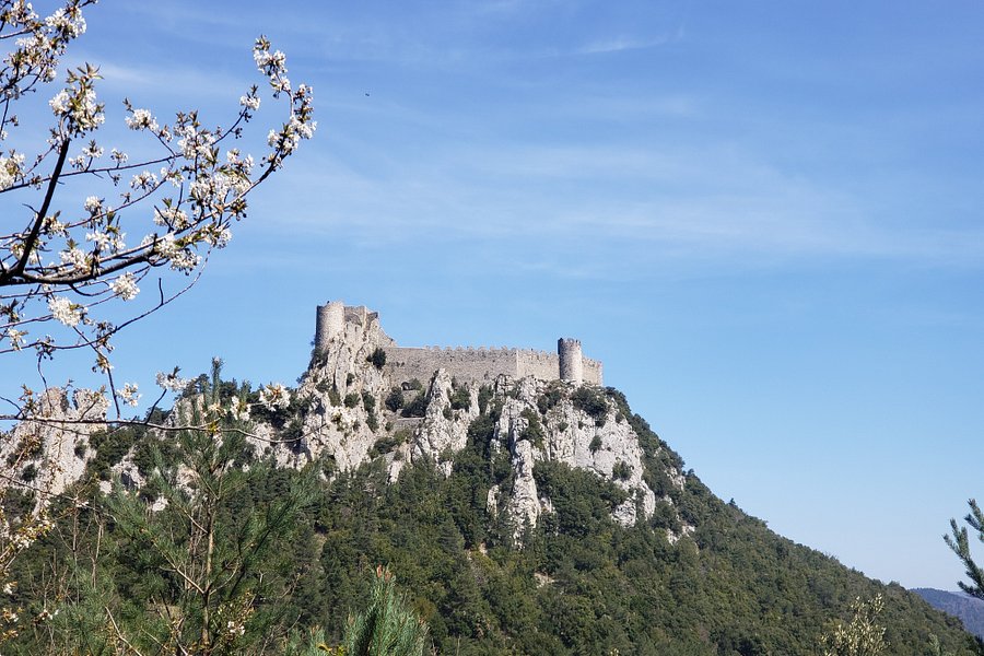 Château de Puilaurens image