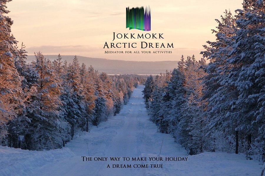 Jokkmokk Arctic Dream image