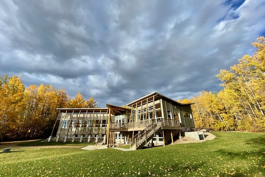 Boreal Centre for Bird Conservation image