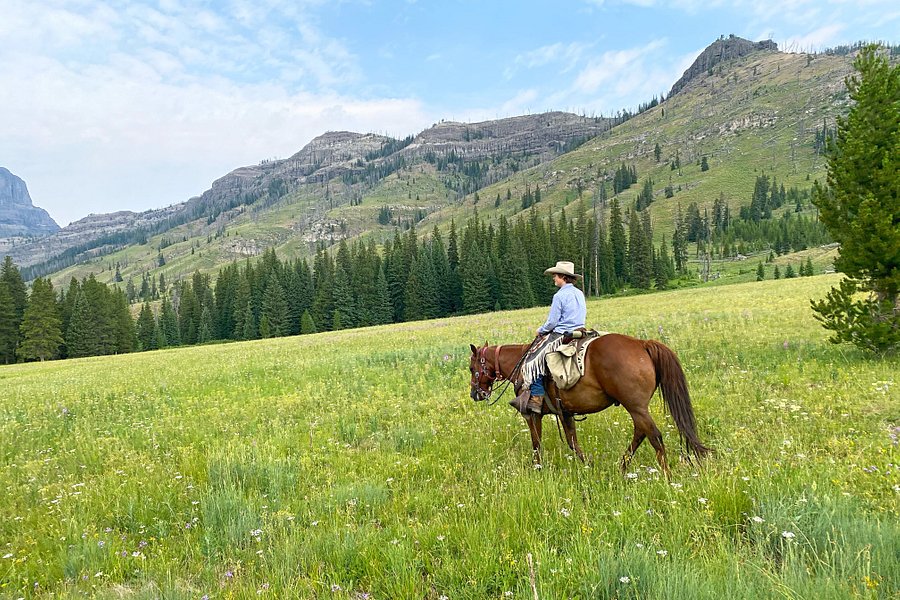 Skyline Guest Ranch and Guide Service image