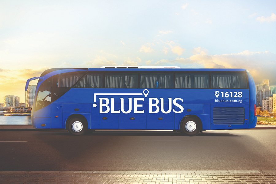 Blue Bus Egypt image