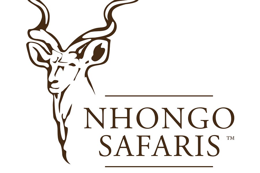 Nhongo Safaris image