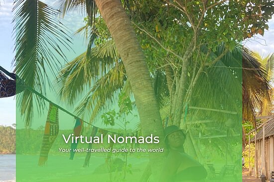 Virtual Nomads image