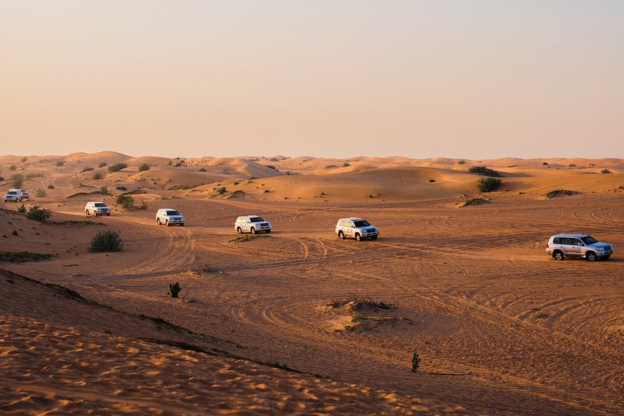 Evening Desert Safari with Camel Ride & Sandboarding (Premium Experience) image