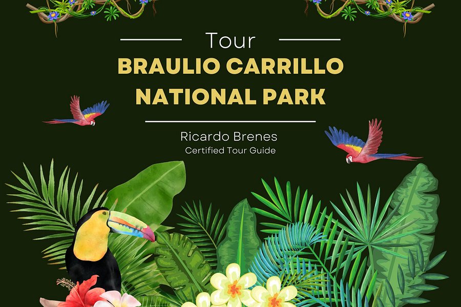 Braulio Carrillo National Park Tour image
