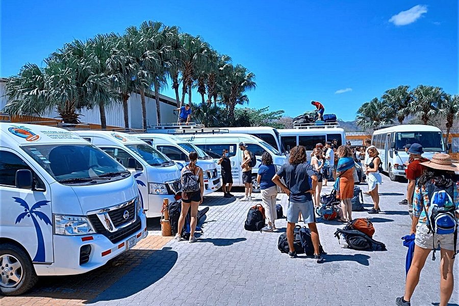 Tropical Tours Shuttles image