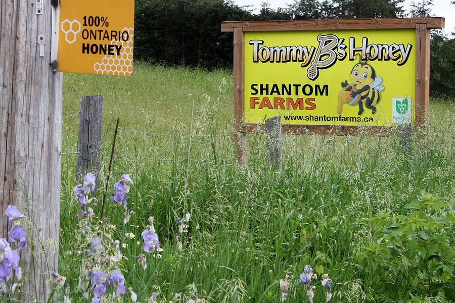 Shantom Farms image