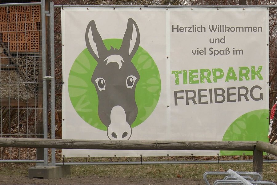 Tierpark der Stadt Freiberg image