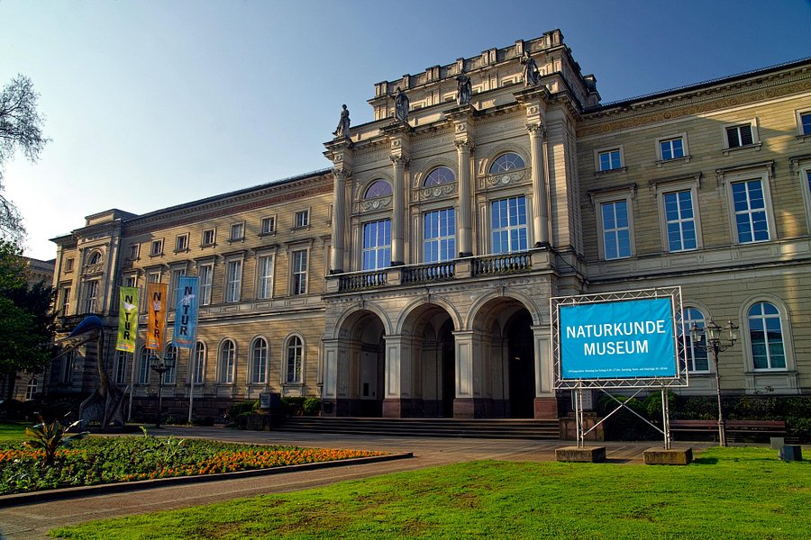 Naturkundemuseum Karlsruhe image