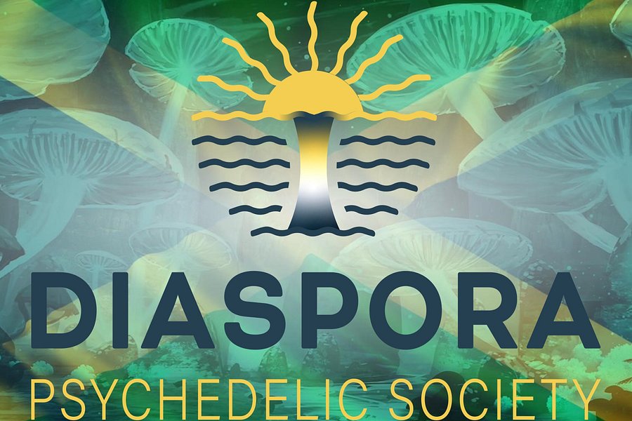 Diaspora Psychedelic Society image