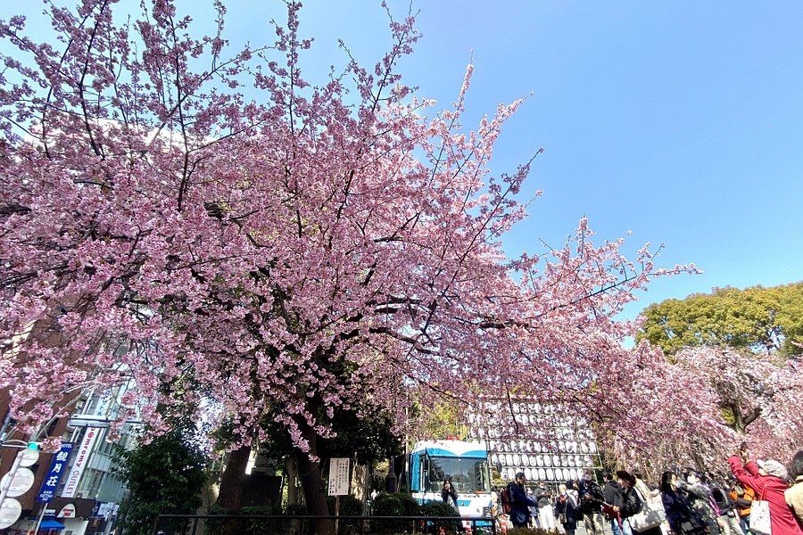 Ueno Park image