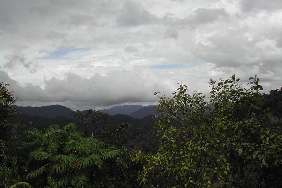 Nyungwe Forest National Park image