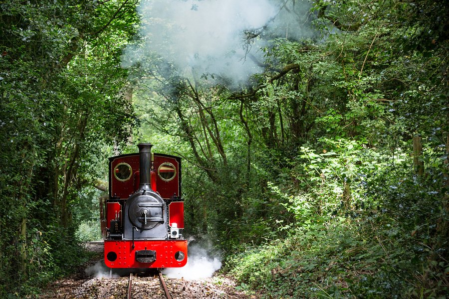 Perrygrove Railway image