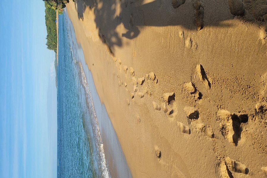 San Miguel Beach image