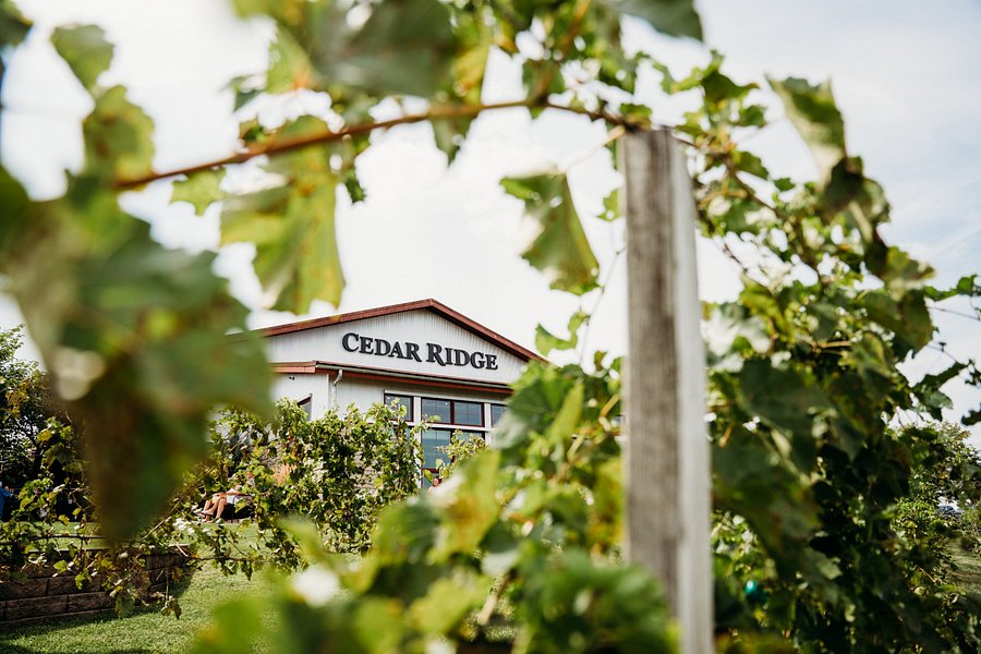 Cedar Ridge Winery & Distillery image
