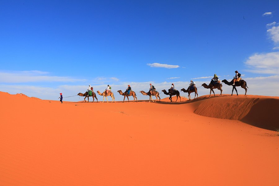 Sahara Routes image