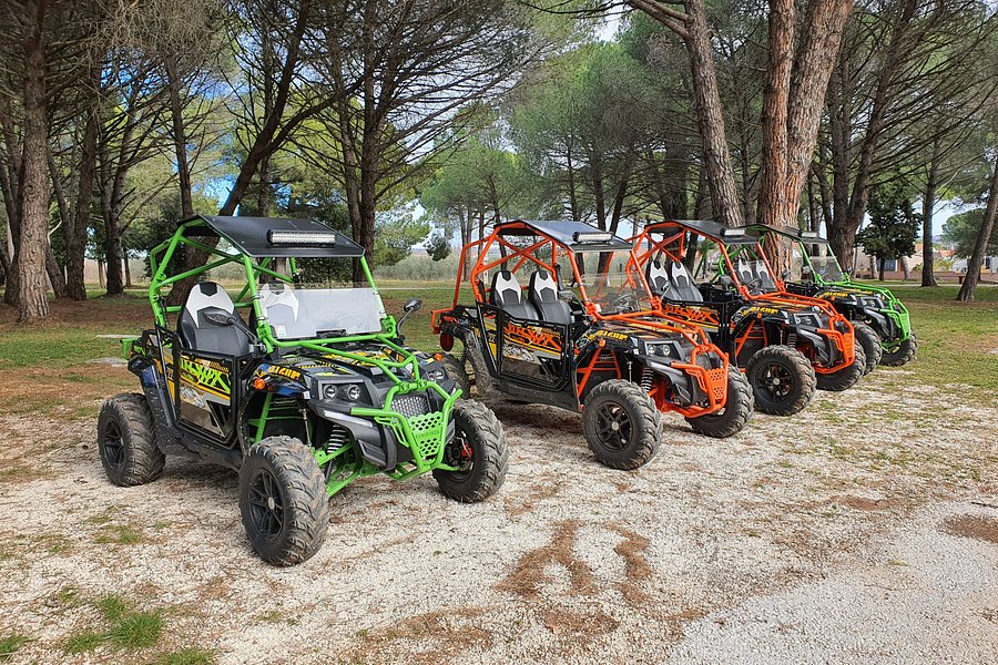 Istra Buggy Tours image