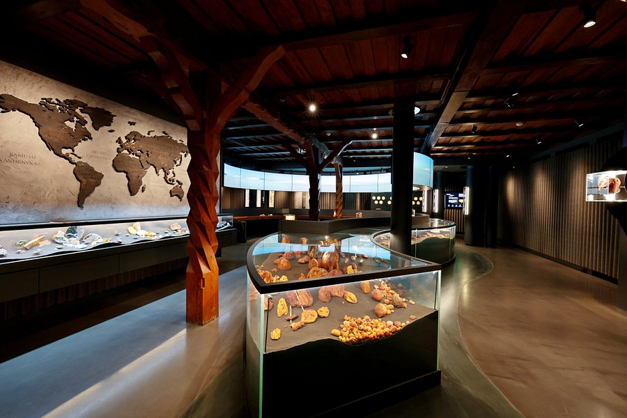 Mizgiris Amber Museum image