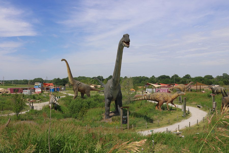 Field Station Dinosaurs image