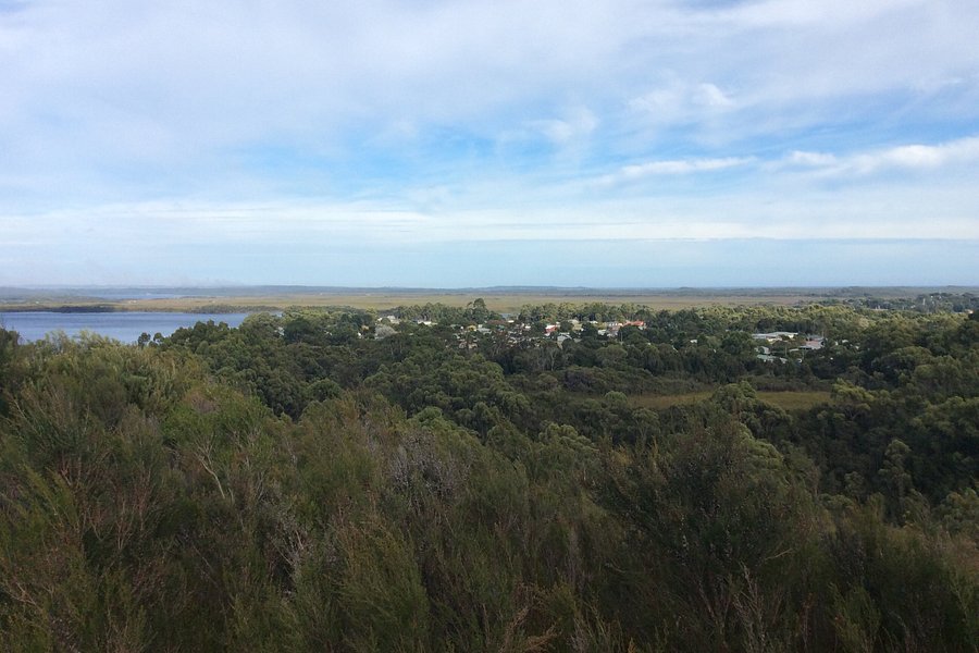 Water Tower Hill Lookout image