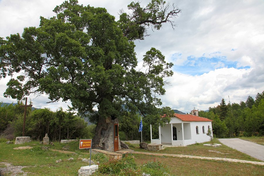 Tree Chapel Saint Paissiou image