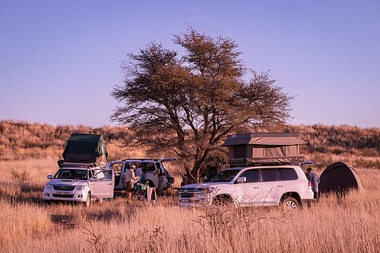 Endless Africa - Untamed Mabuasehube Guided Overland Tour image