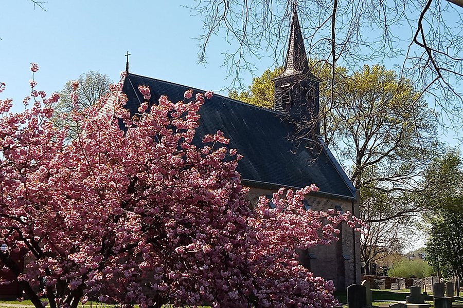 Pietermankerk image