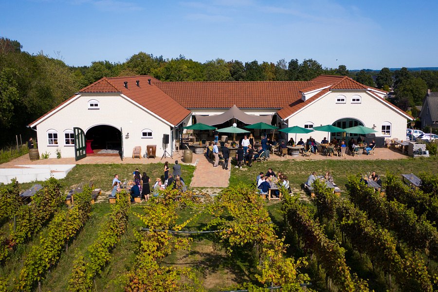 Nederlands Wijnbouwcentrum image