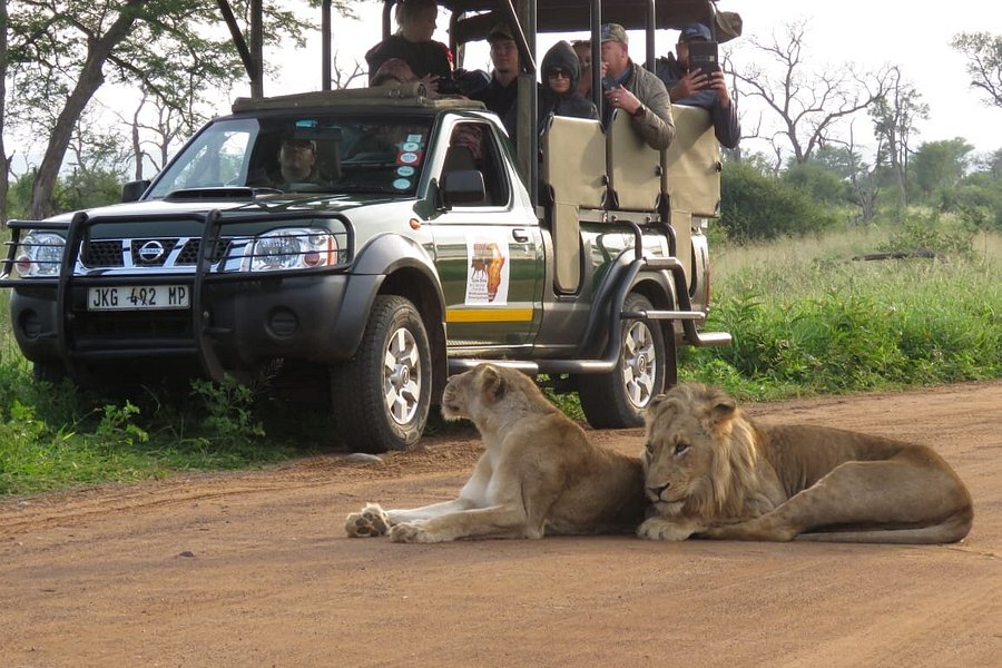 Kruger Africa Safaris image