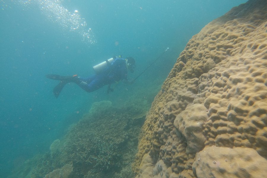 Amadive Dive Center image