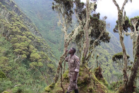 Discover Virunga image