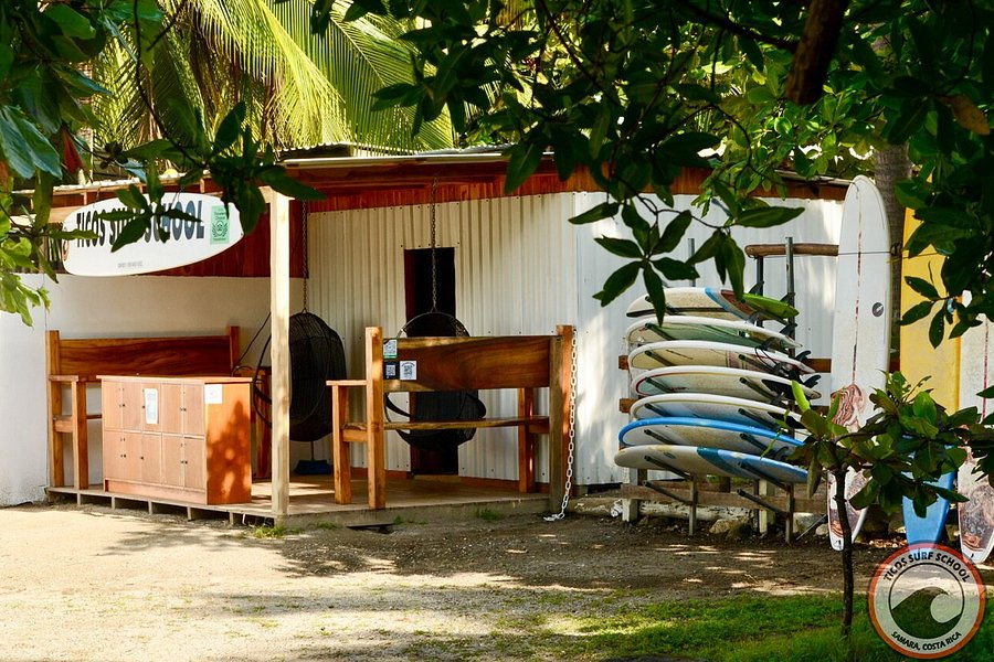 Ticos Surf School image