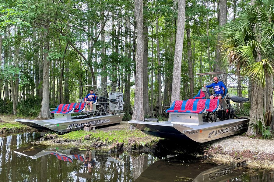 All American Airboat Tours image
