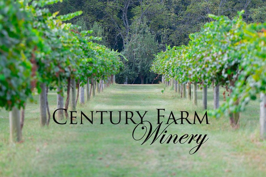 Century Farm Winery image