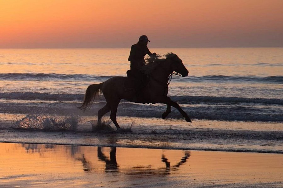 Marocco Horseriding image
