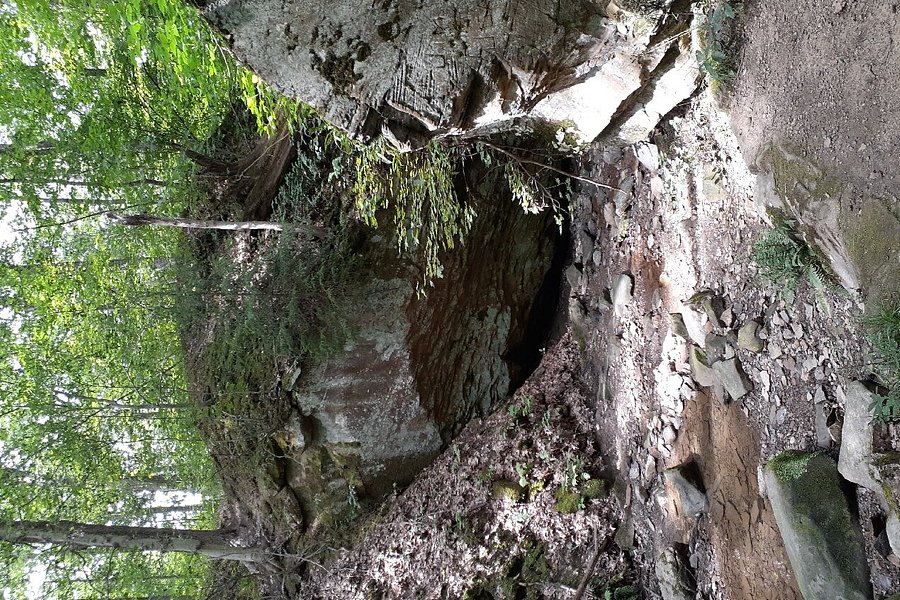 Deer Lick Cave Trail image
