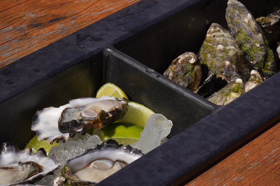 SA Premium Oysters image