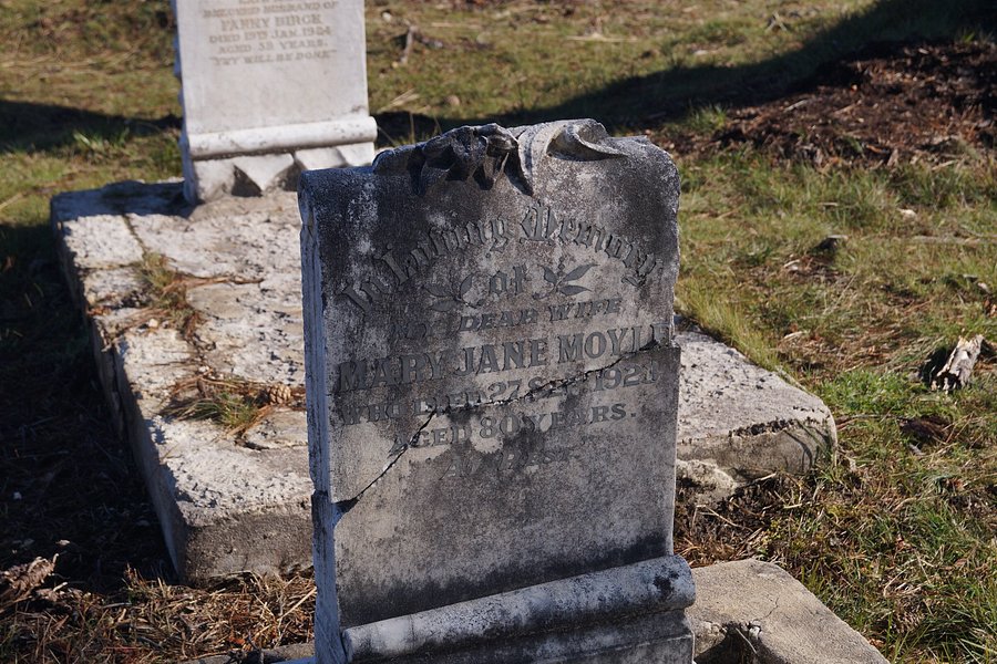 Zeehan Pioneer Cemetery image