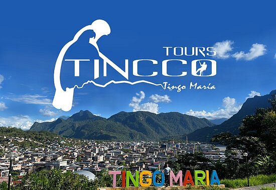 Tincco Tours image
