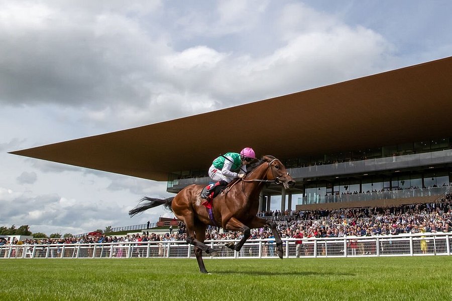 The Curragh Racecourse image