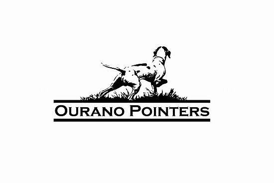 Ourano Pointers image