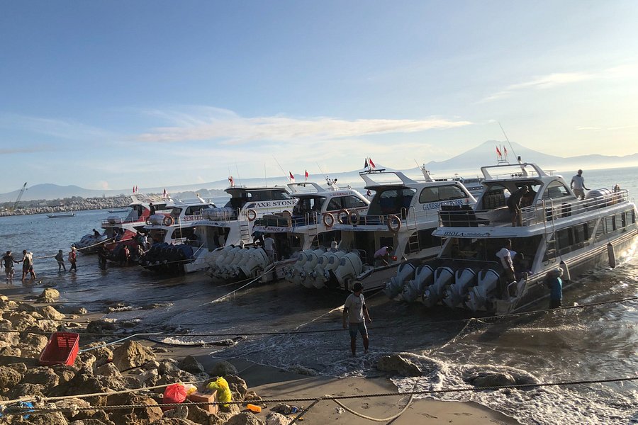 Bali Fast Boat Transfer Ubud image