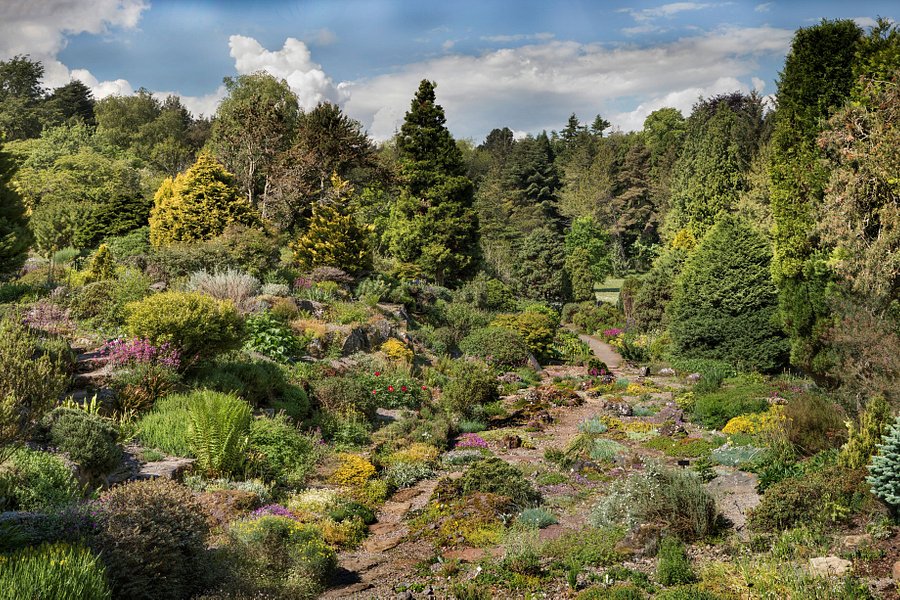 St Andrews Botanic Garden image