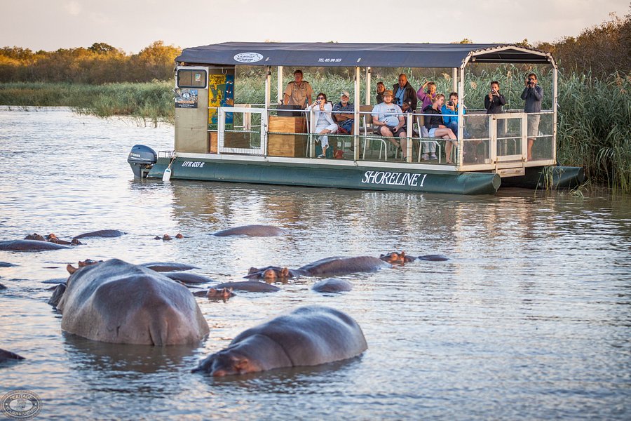 Shoreline Hippo and Croc Cruises image