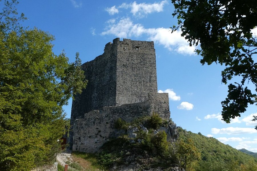 Petrapilosa Castle image
