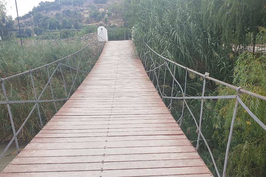 Puente De Alambre image
