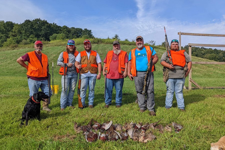 Bullseye Pheasant & Duck Hunting image