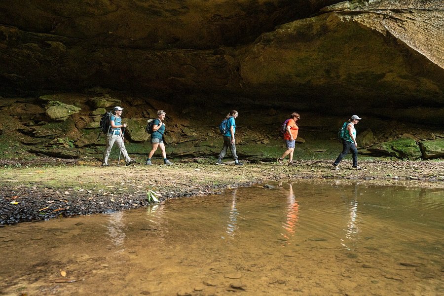 Red River Gorge Experiences image