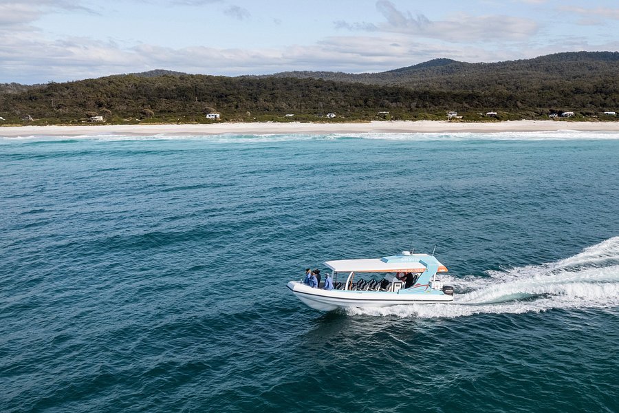 Bay of Fires Eco Tours image